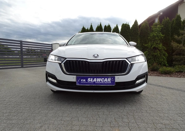 Skoda Octavia cena 71800 przebieg: 145000, rok produkcji 2020 z Miłomłyn małe 704